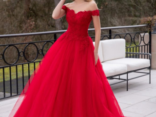 Robe de mari&eacute;e Alexis mariage